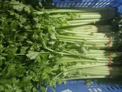 蔬菜配送公司