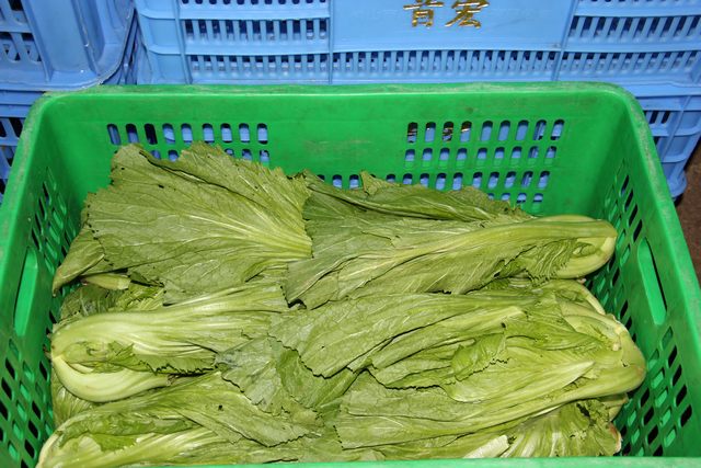 蔬菜配送中心如何提高服务